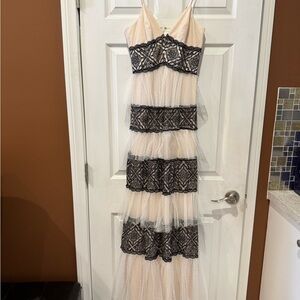 Elegant Black Lace and Cream Tulle Dress